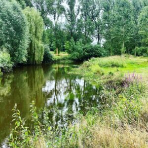 De Dommel in Eindhoven